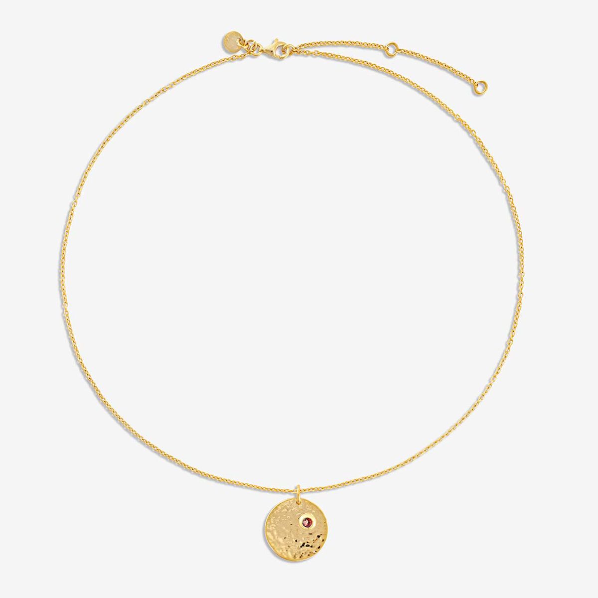 Birthstone January - Halsketten - Gold
